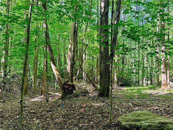 5th image of Lot 5A Buckeye Ridge Road