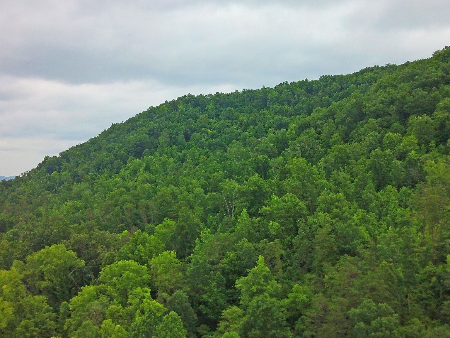 0 Cane Creek Rd, Stanton, KY 40380 MLS 23012329 Zillow