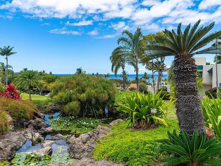 Wailea Alanui Dr — Photo 34
