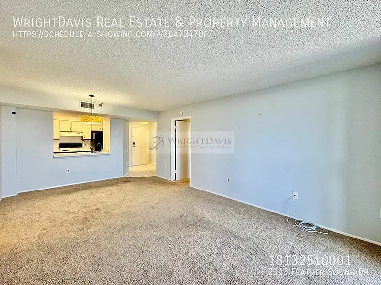 2333 Feather Sound Dr — Photo 9