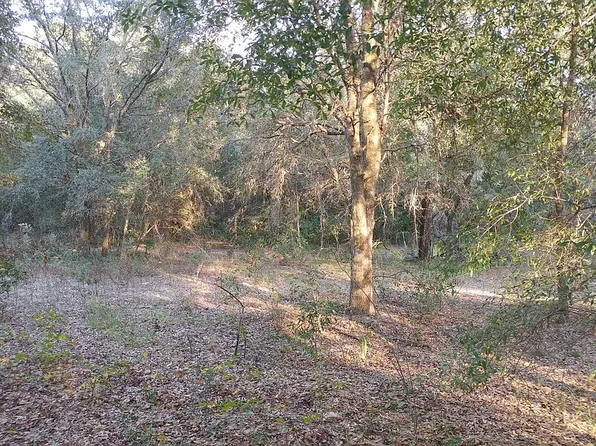 4575 E Posselt Dr, Hernando, FL 34442