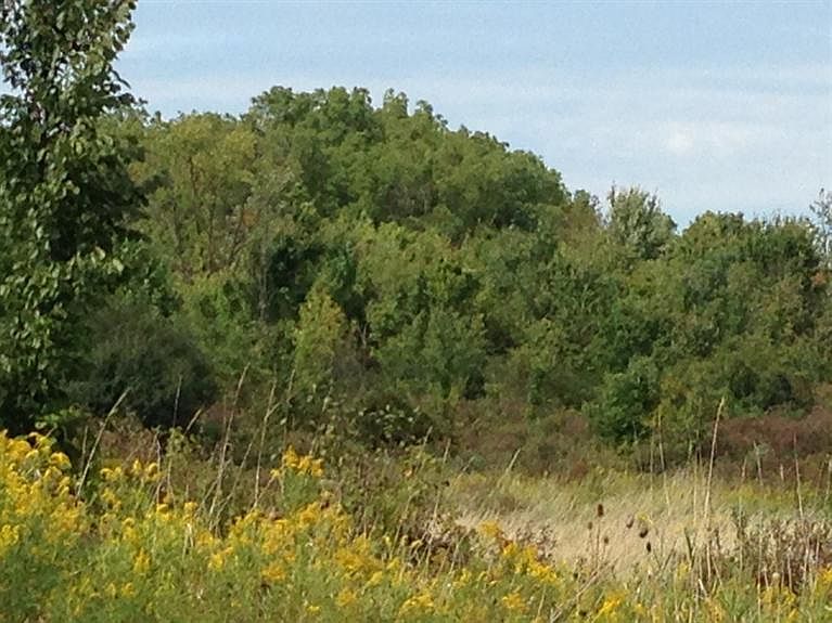 2nd image of 7701 Vreeland Rd