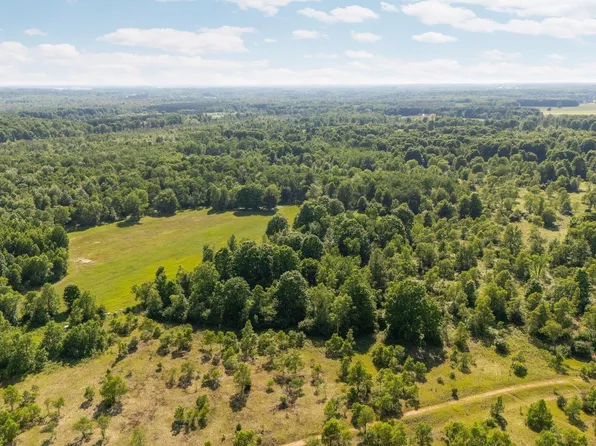 Parcels C Sands Rd, Kingsley, MI 49649