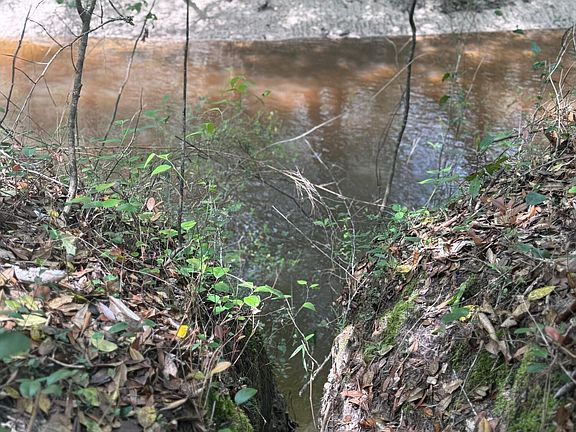 2nd image of 347 Old Highway 49 E