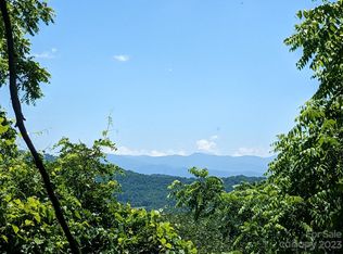 1914 Thomas Branch Rd, Marshall, NC 28753