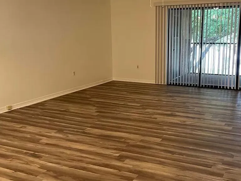 317 La Paloma Ln — Photo 5