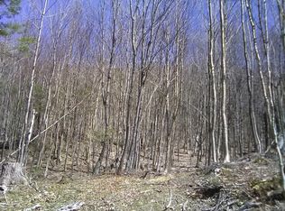 0 Warren Rd, Eden, VT 05652