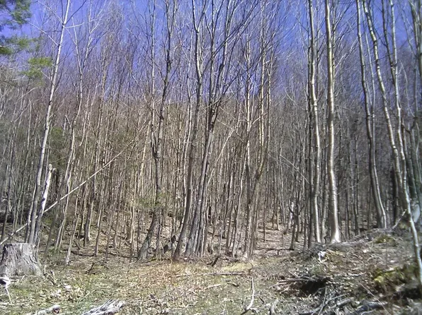 0000 Warren Road, Eden, VT 05652
