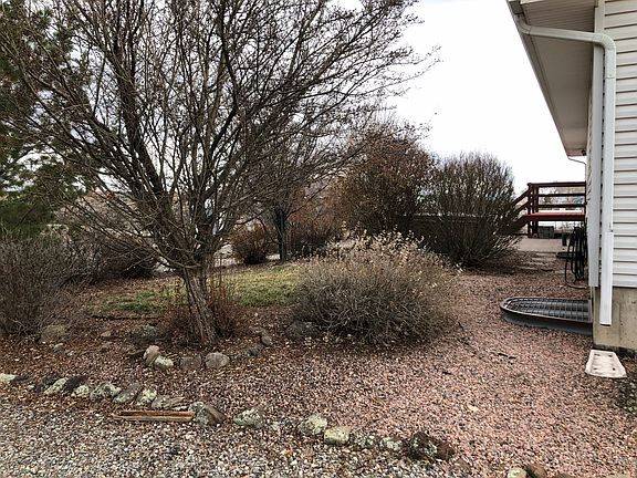 North side back yard