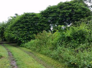 19000 SW 244th St, Homestead, FL 33031