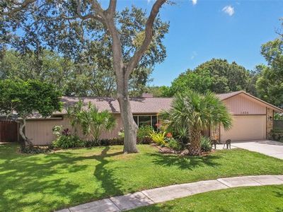 1424 Rosetree Ct, Clearwater, FL, 33764