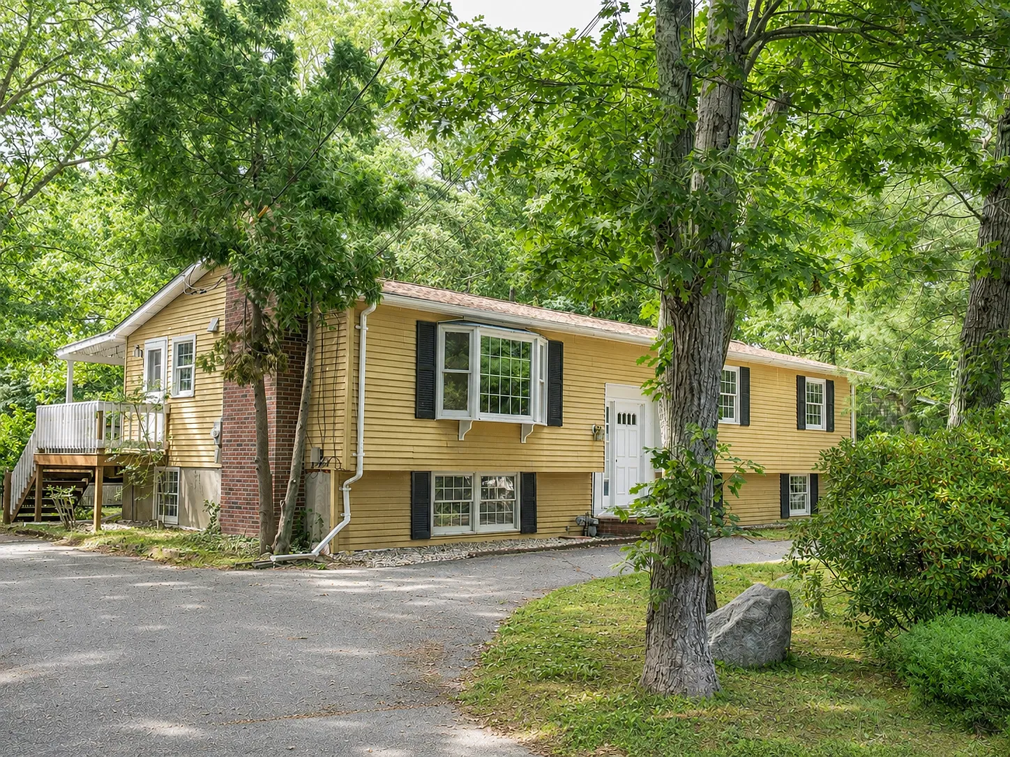 3 bed, 1242 sqft, $3,800 — Photo 1