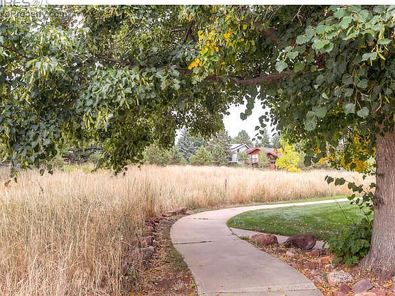 pathway at entry