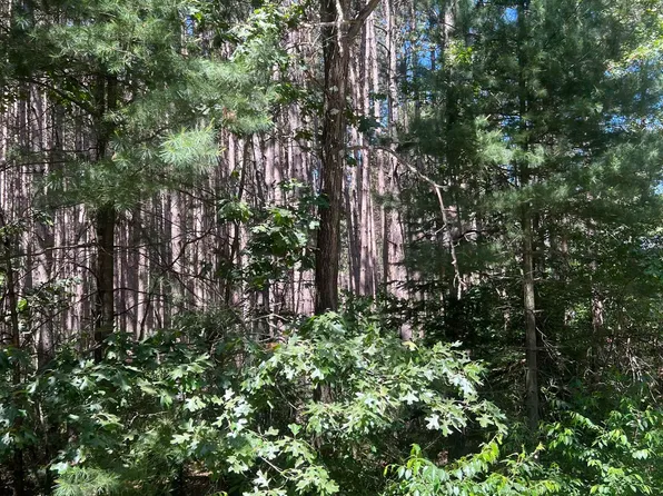 Evergreen Dr #99, Waupaca, WI 54981