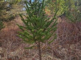 6894 Hardscrabble Rd, Addison, NY 14801