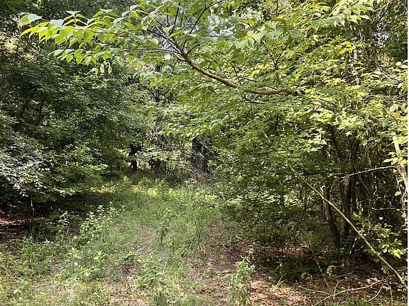 4th image of County Road 4559