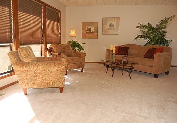 sunlit formal living room