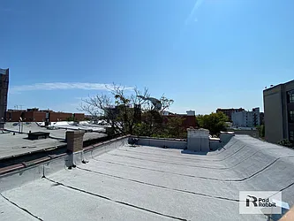 Rented by PadRabbit LLC