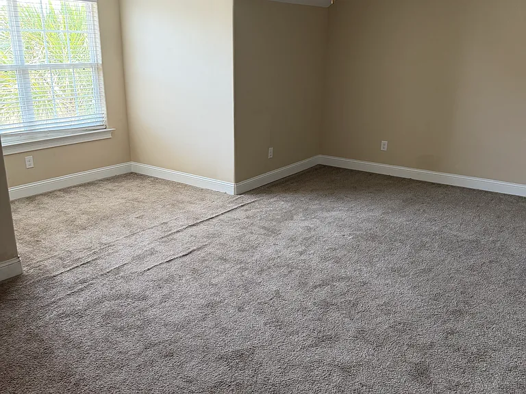 655 Uniola Dr — Photo 19