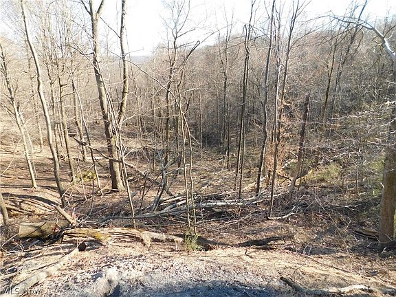 4th image of 292 County Rd