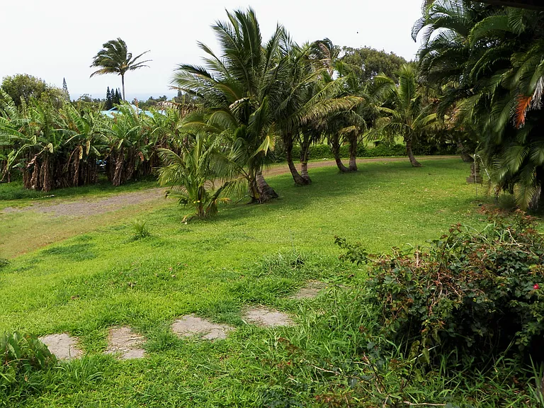 FRONT YARD