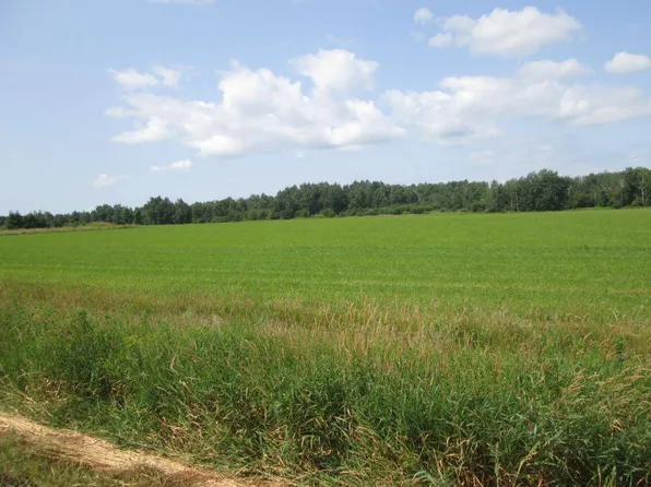 N251 County Rd E, Curtiss, WI 54422