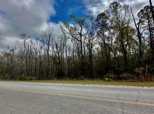 1893 SW Highway 361, Steinhatchee, FL 32359