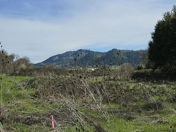 4th image of 0 Tiller Trail Hwy