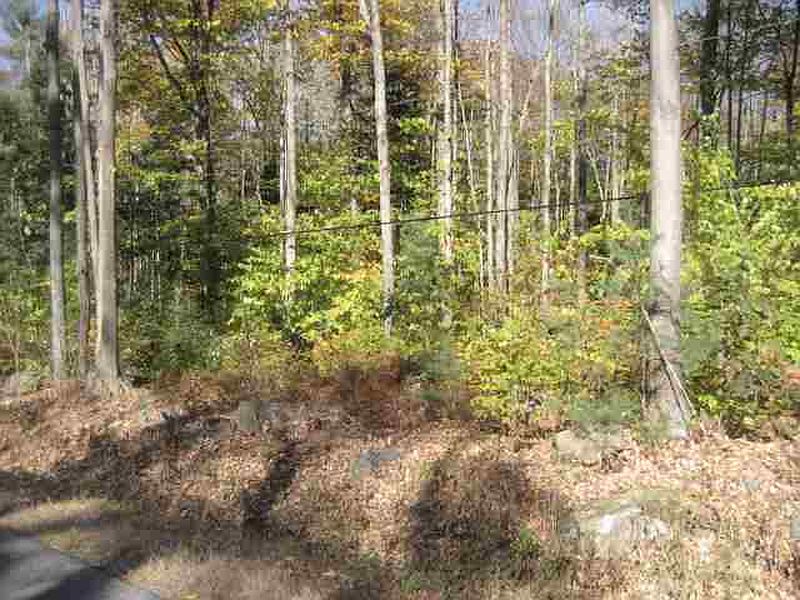 3rd image of 0 LOCUST GROVE Road