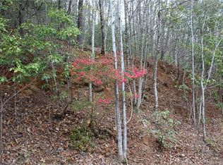 8 Pine Dr, Mills River, NC 28759
