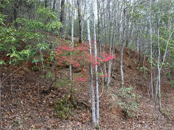 8 Pine Dr, Mills River, NC 28759