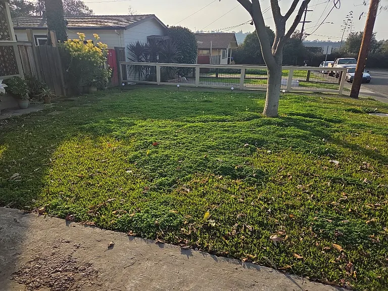 315 Nevada St #A — Photo 2