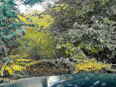 2007 Delta Downs Dr, Vinton, LA, 70668