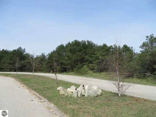 5 Spruce Hollow Trce, Fife Lake, MI 49633