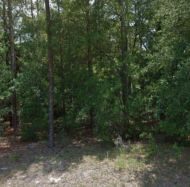 1st image of 1369 W Alexander Dr