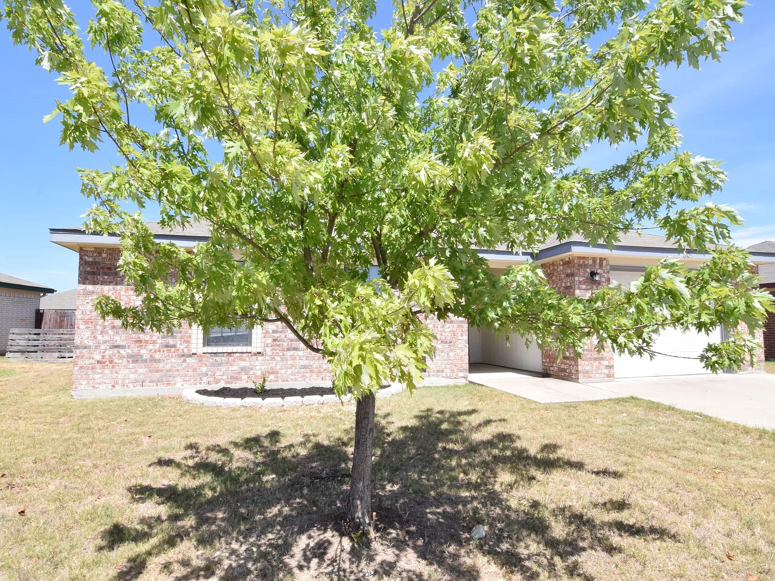 509 Sumac Trl, Copperas Cove- — Photo 3