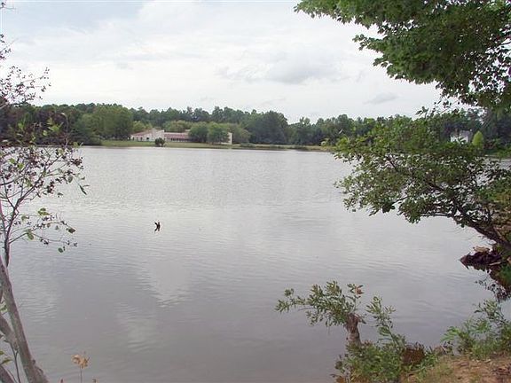 Wonderful lake view