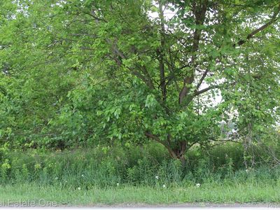 0 Norton Rd, Howell, MI, 48843