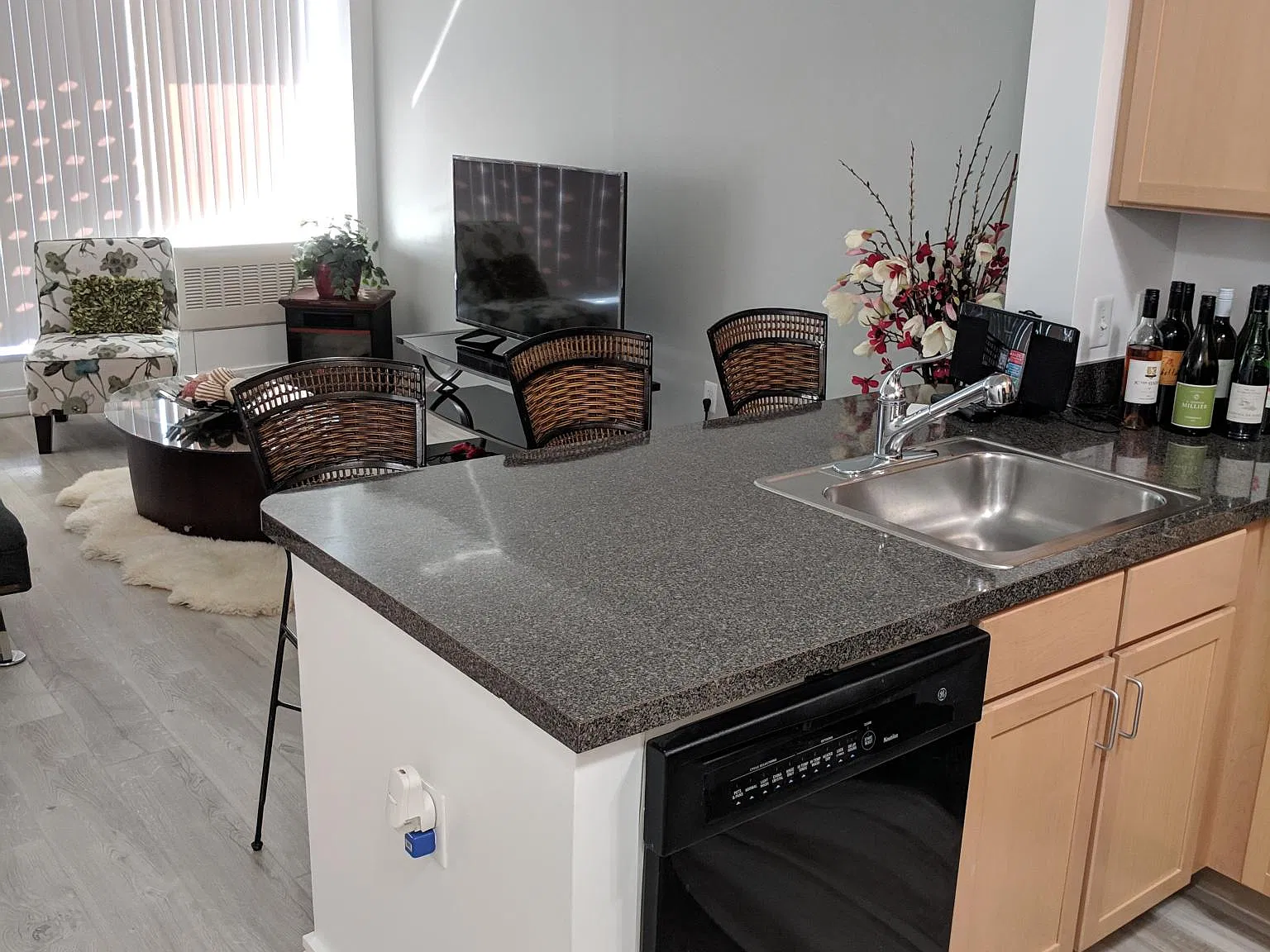 Studio, 561 sqft, $1,900 — Photo 4