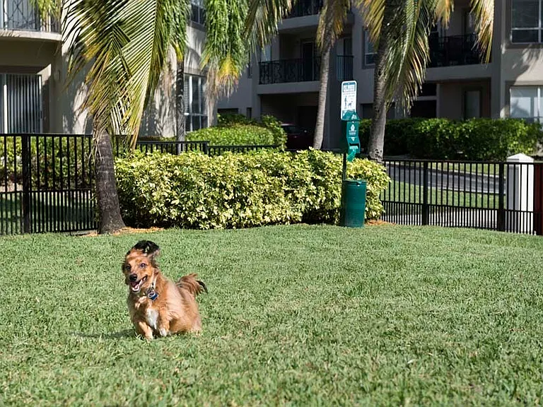 Camden Aventura — Photo 22