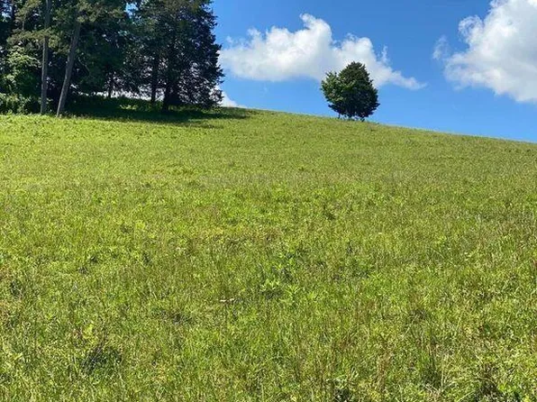 7 S Chapman Rd, La Follette, TN 37766