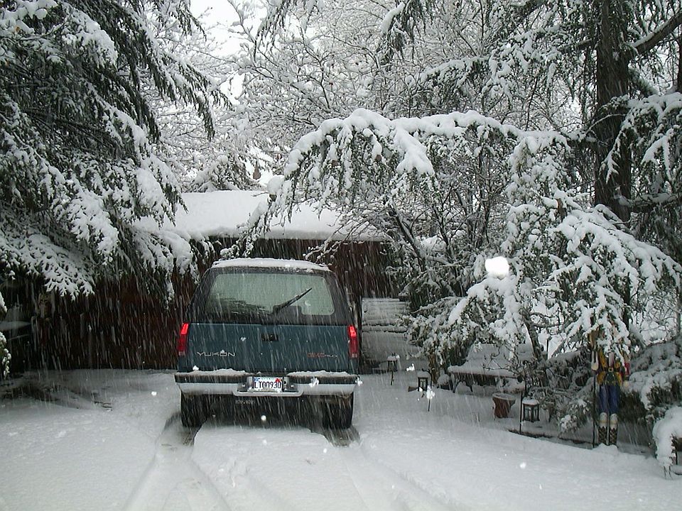 Winter Wonderland