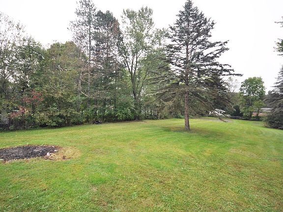 4 back yard
