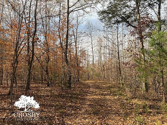 5th image of Wood Rd