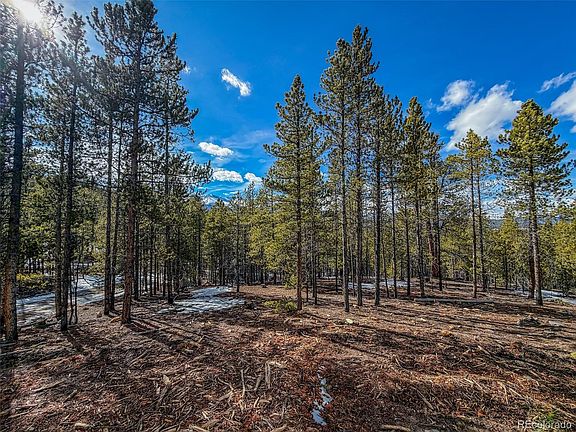 4th image of 483 Mt Massive Road LOT 27 & 28
