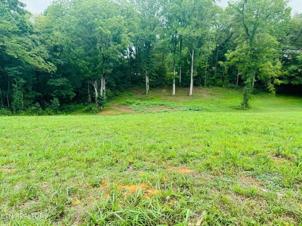 0 Wale Dr, Parrottsville, TN 37843
