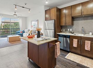 The Standard at Domain Northside Apartments, Austin, TX 78758