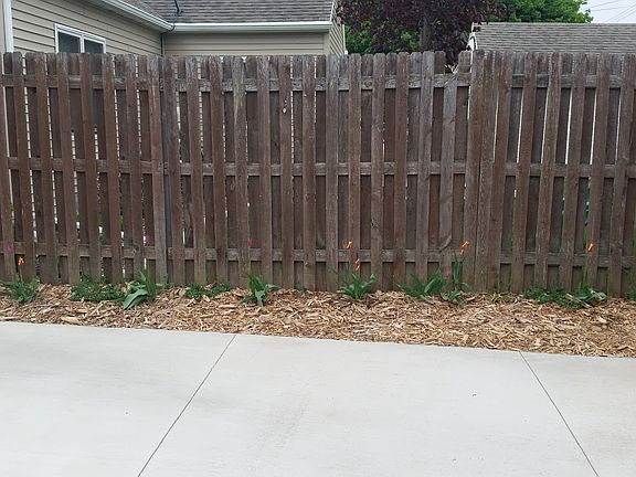 Spring flowers on fence line