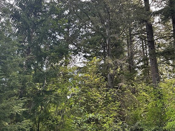 5th image of 0 348th Avenue SE