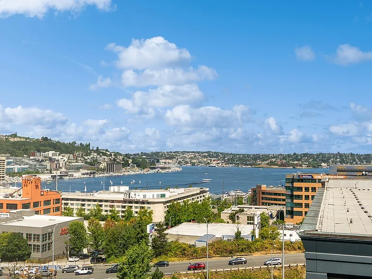 SouthLakeUnion_view